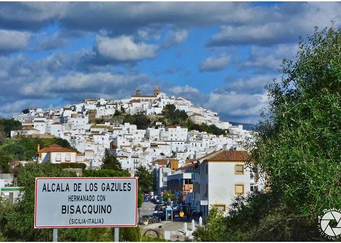 Vientos De Alcornoque
